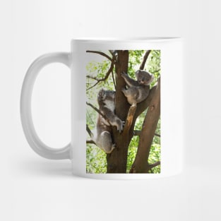Mother & Son Koalas Mug